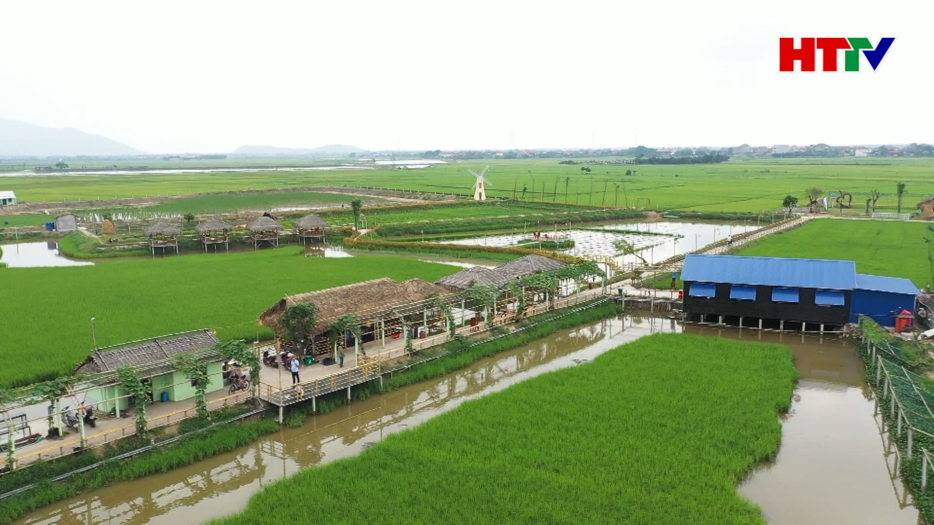 UBND tỉnh chỉ đạo tập trung hoàn thành mục tiêu Chương trình NTM