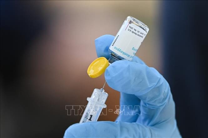 Anh phát hiện biến chủng thứ mới của đậu mùa khỉ