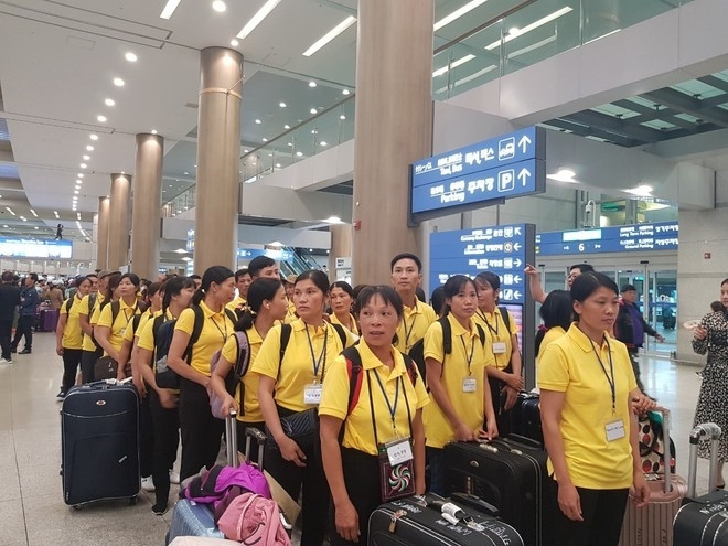 Xử phạt 3 doanh nghiệp vi phạm quy định đưa lao động sang Hàn Quốc