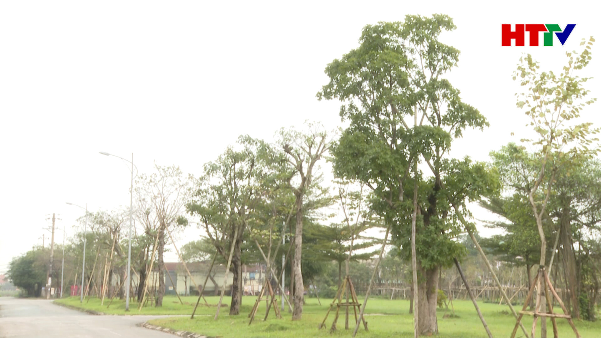 Thành phố Hà Tĩnh trồng thêm gần 60.000 cây xanh
