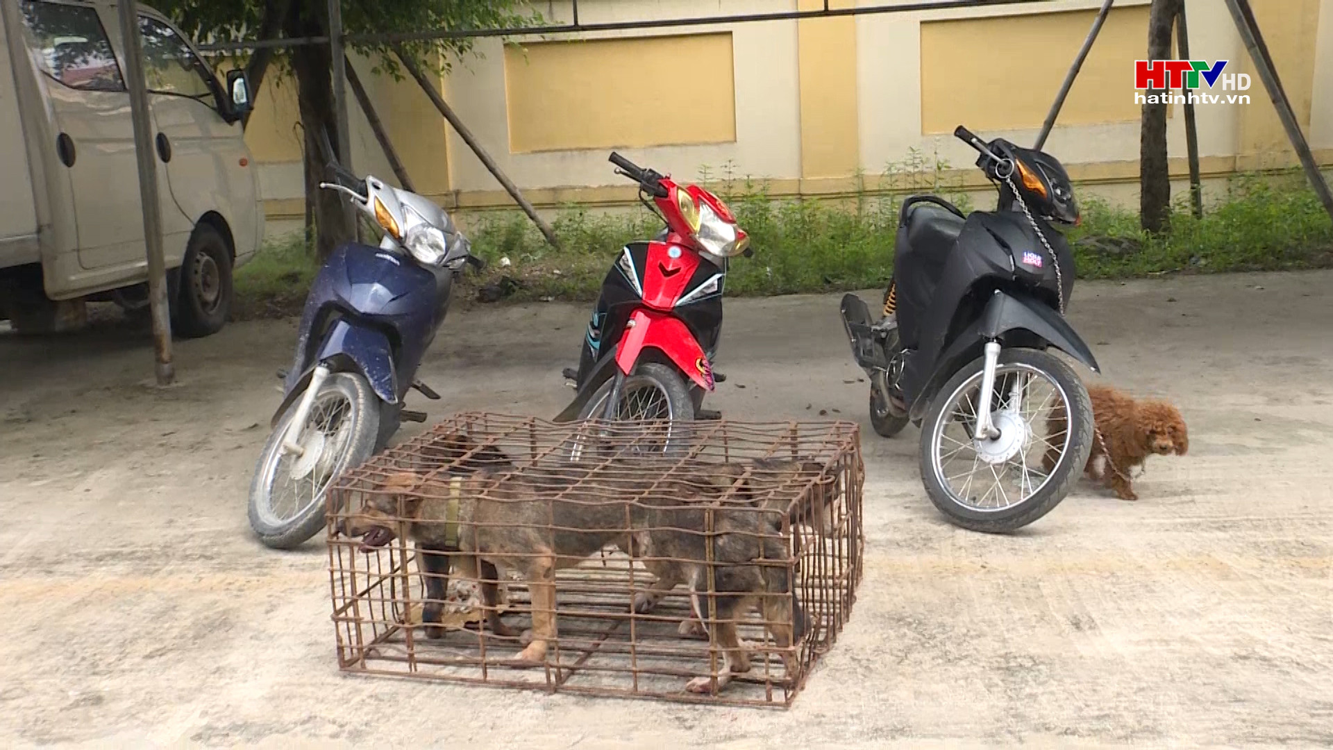 Cẩu tặc ở Kỳ Anh bị bắt giữ