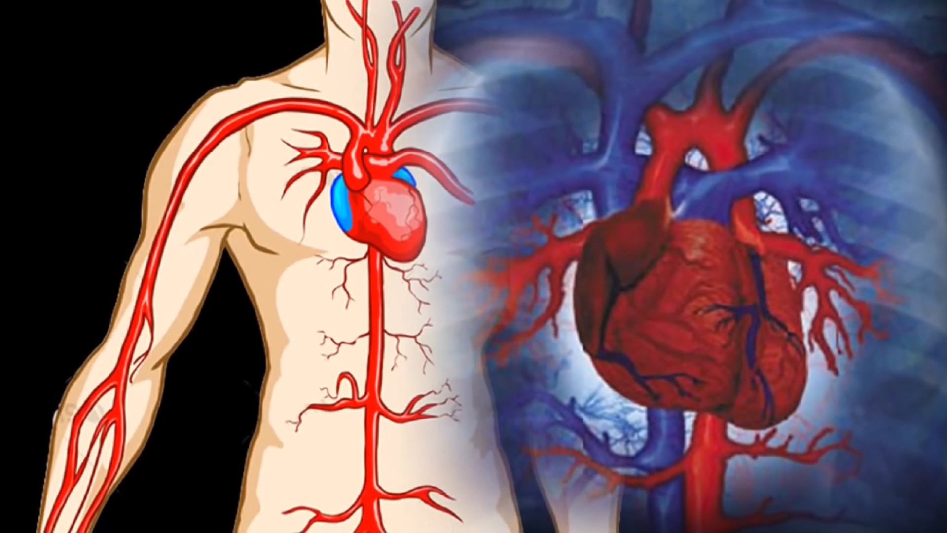 Phát hiện nhóm máu mới