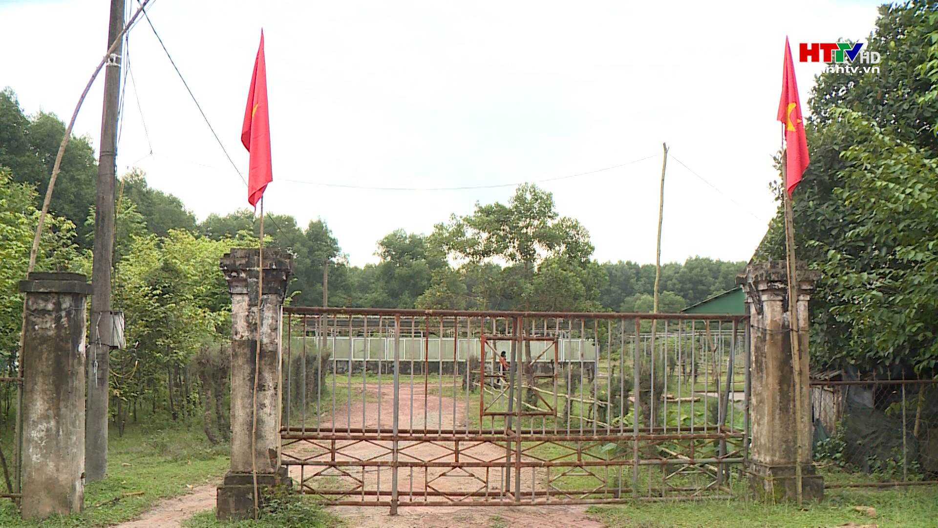 Hoang phí Trung tâm giống cây Lâm nghiệp chất lượng cao