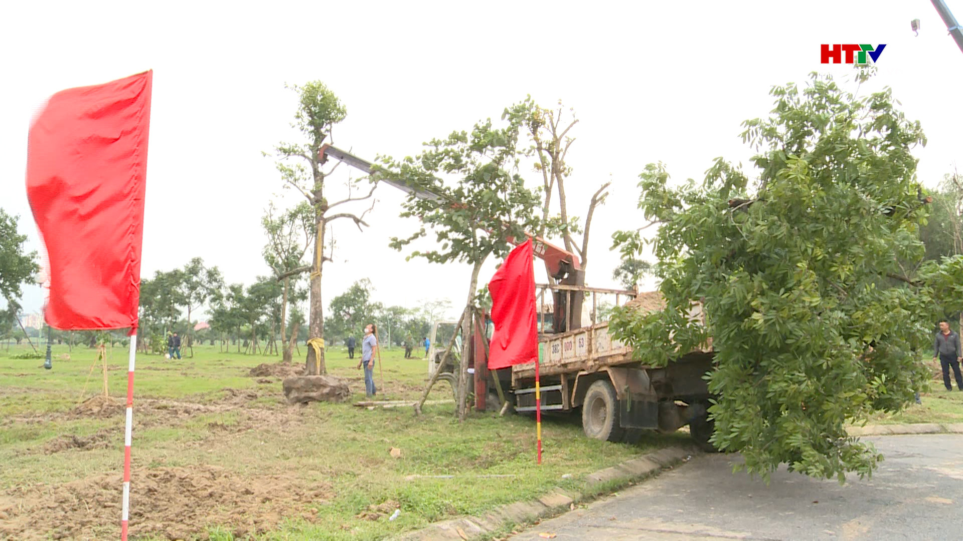 “Rừng trong phố" - thông điệp đầy nhân văn