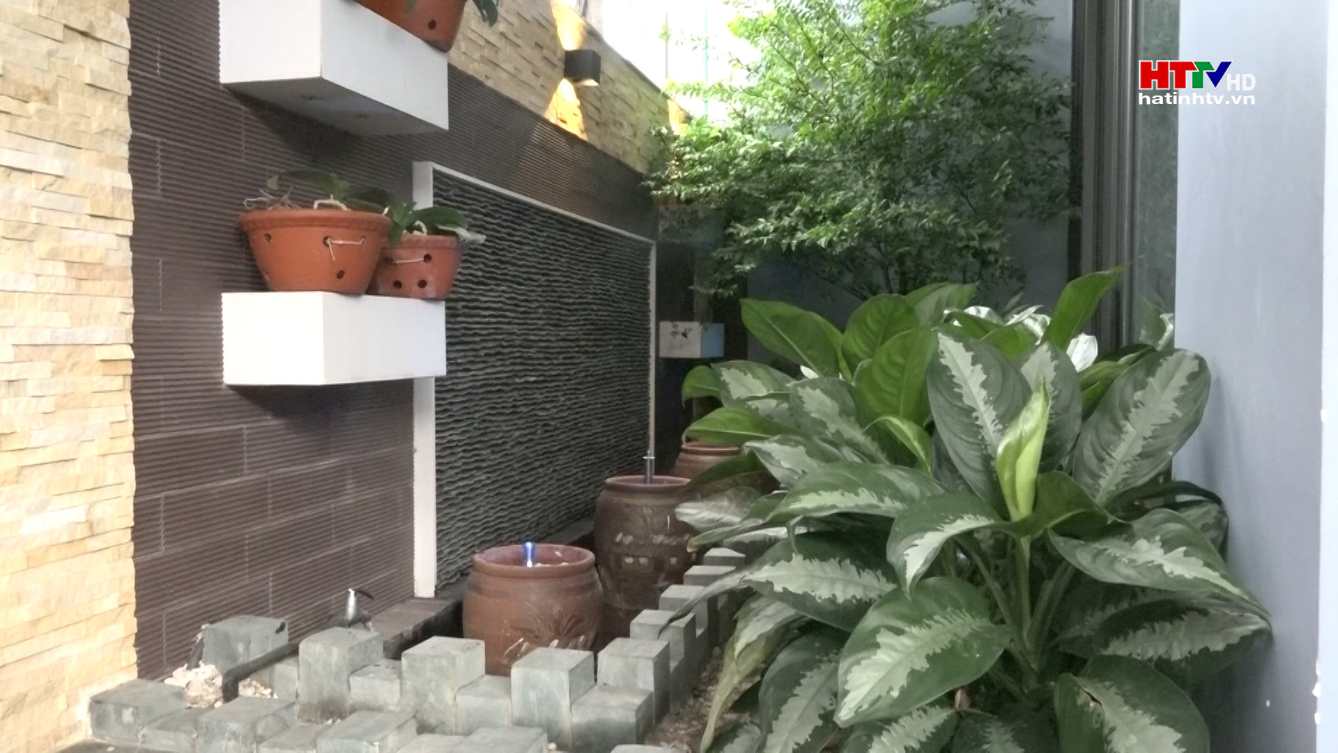Vườn trong nhà - không gian xanh giữa phố thị