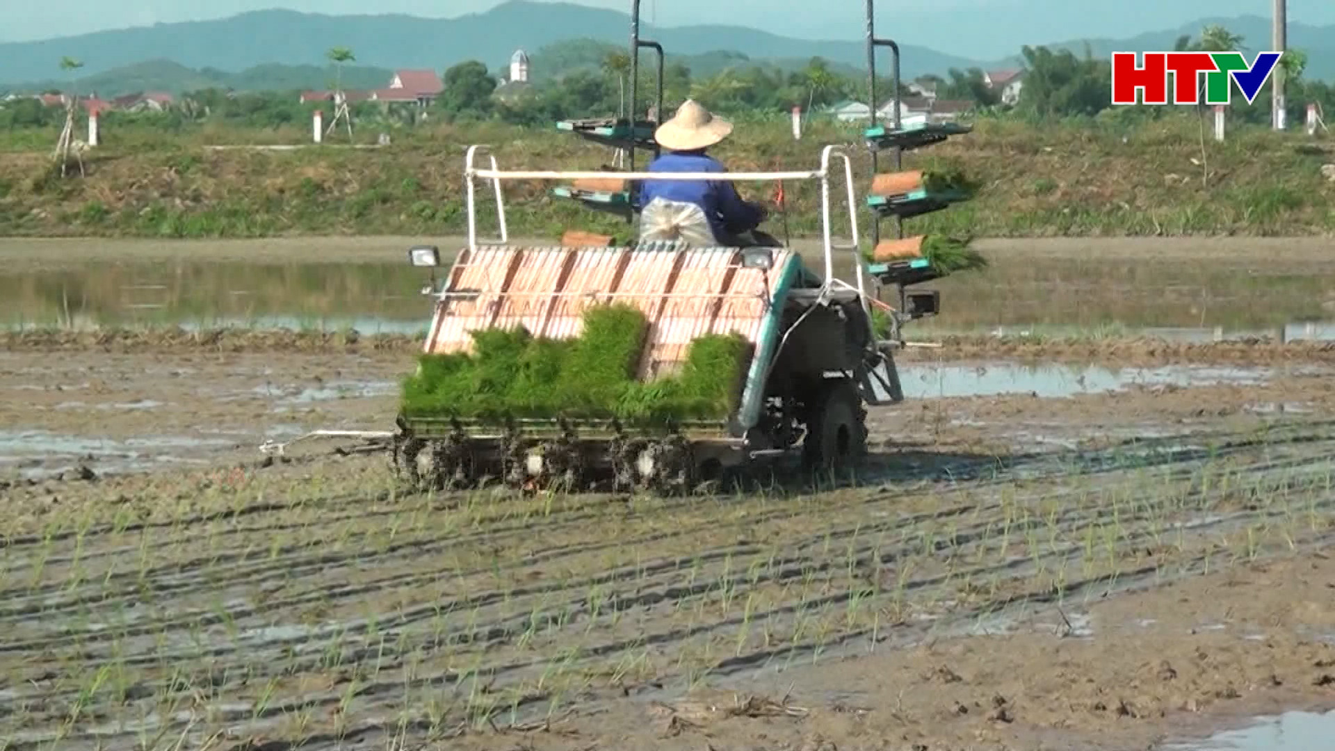 Kinh nghiệm thực tiễn quý từ tích tụ ruộng đất ở Can Lộc