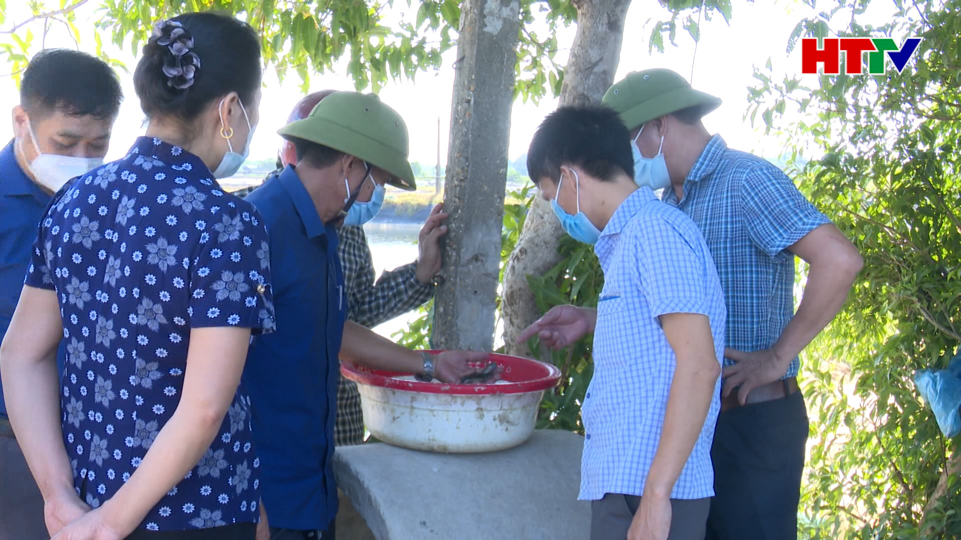 Nhiều mô hình khuyến nông phát huy hiệu quả trong đại dịch