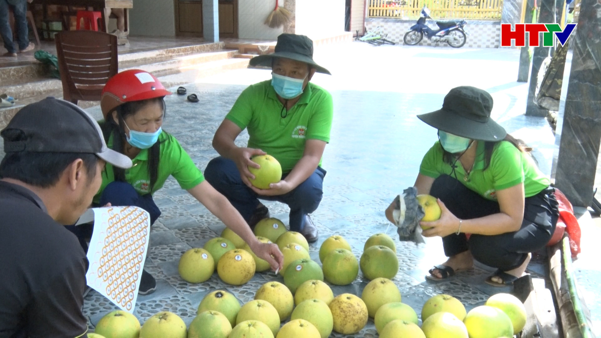 Hội Nông dân tỉnh hỗ trợ nông dân tiêu thụ Bưởi Phúc Trạch