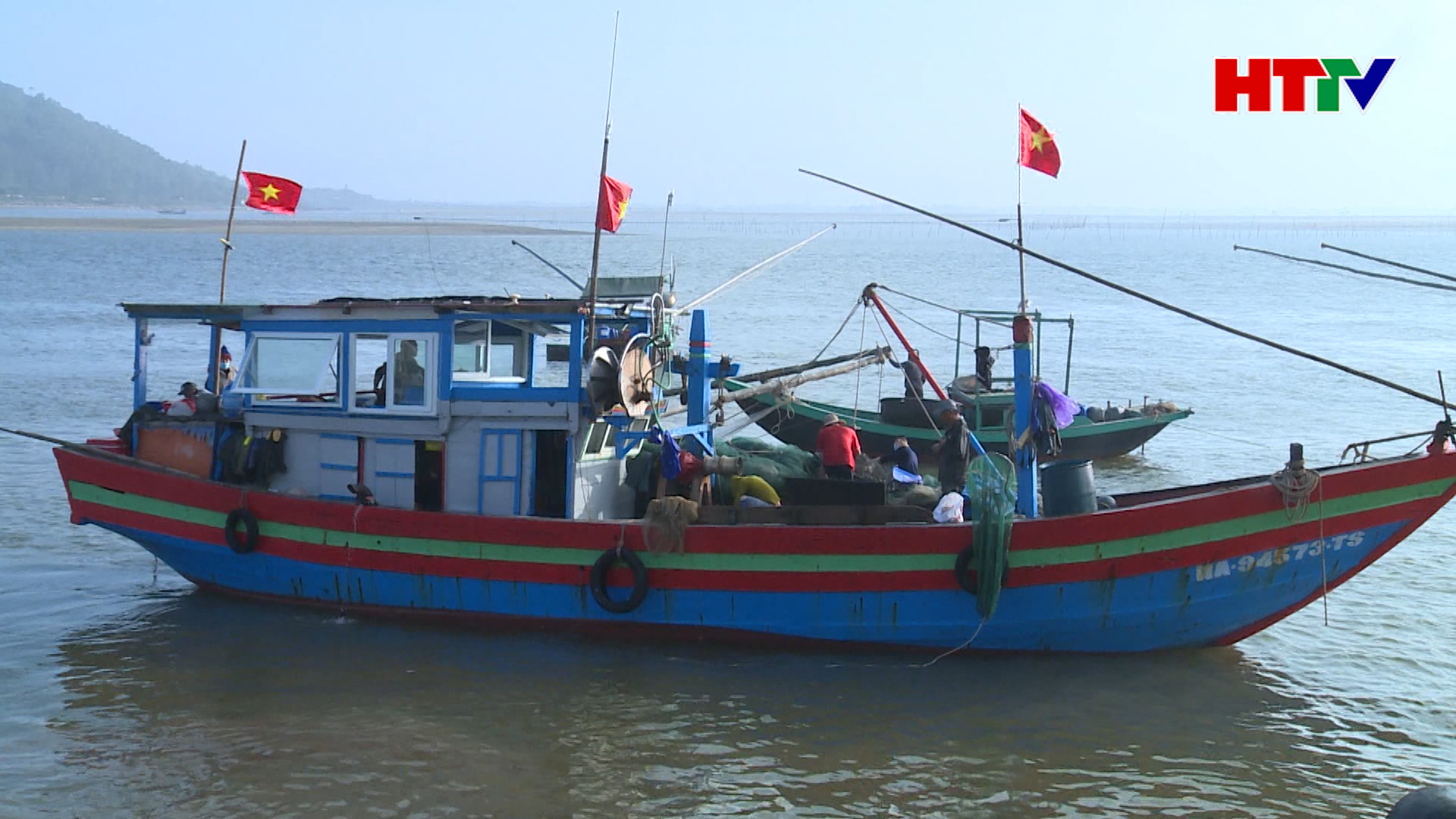 Ngư dân Hà Tĩnh được mùa cá cơm