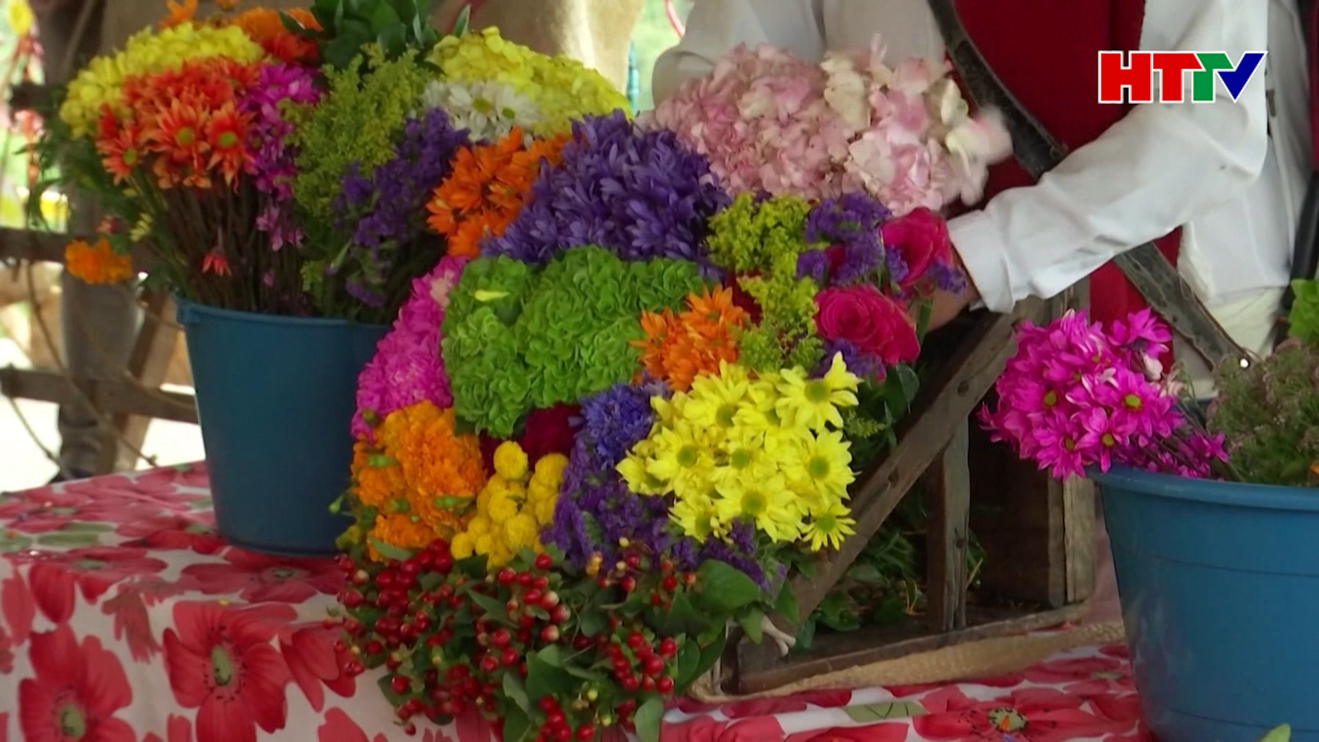 Rực rỡ “xứ hoa” Colombia mùa lễ hội