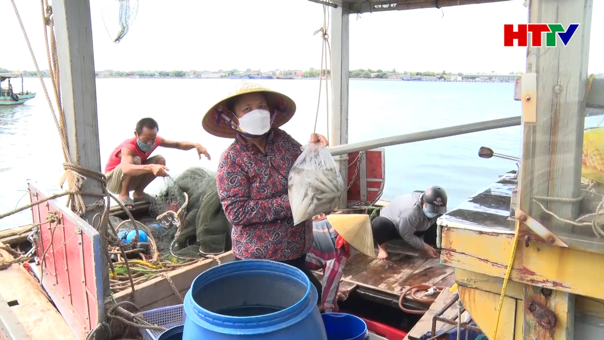 Ngư dân Nghi Xuân trúng đậm mực