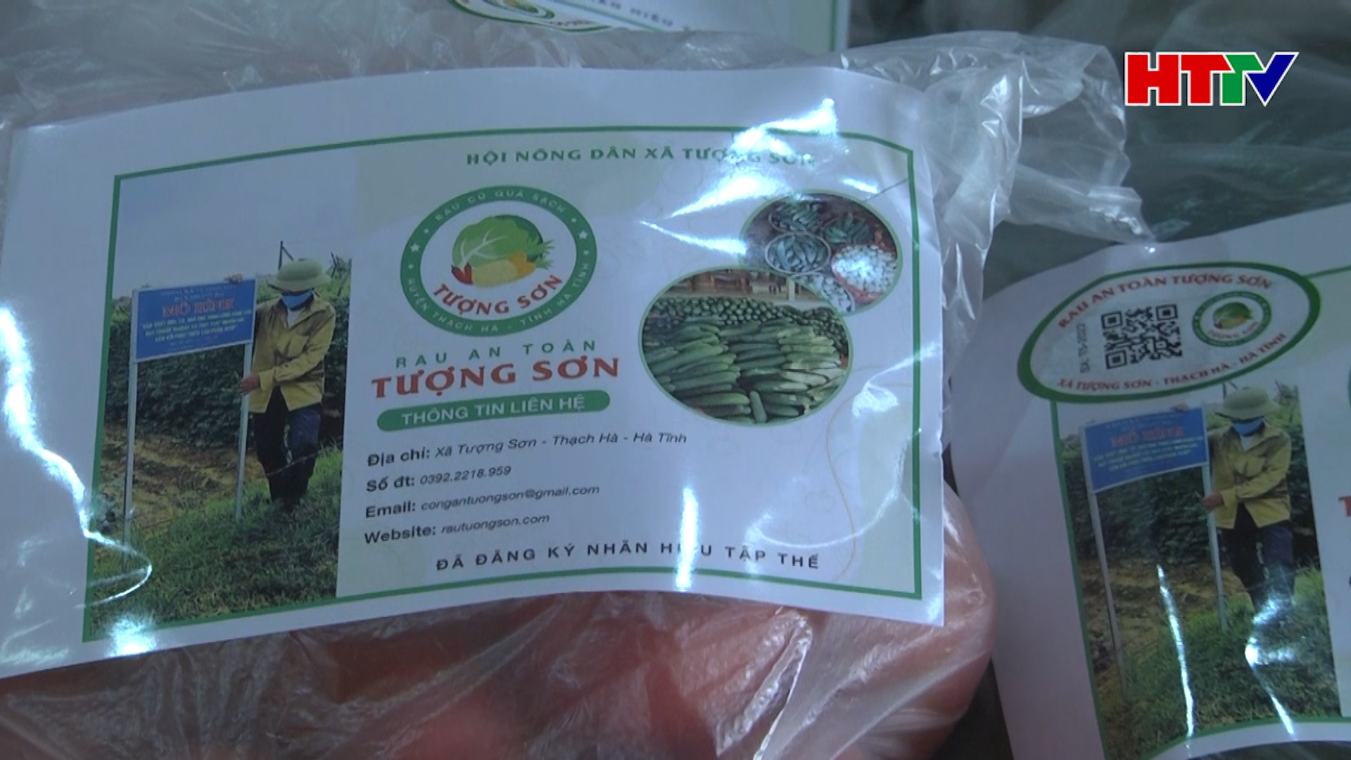 Rau củ quả Tượng Sơn được công nhận nhãn hiệu tập thể