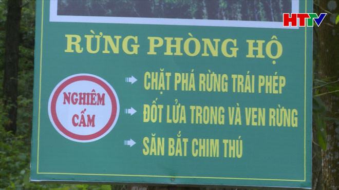 Cảnh giác với nguy cơ cháy rừng trong những ngày nắng nóng