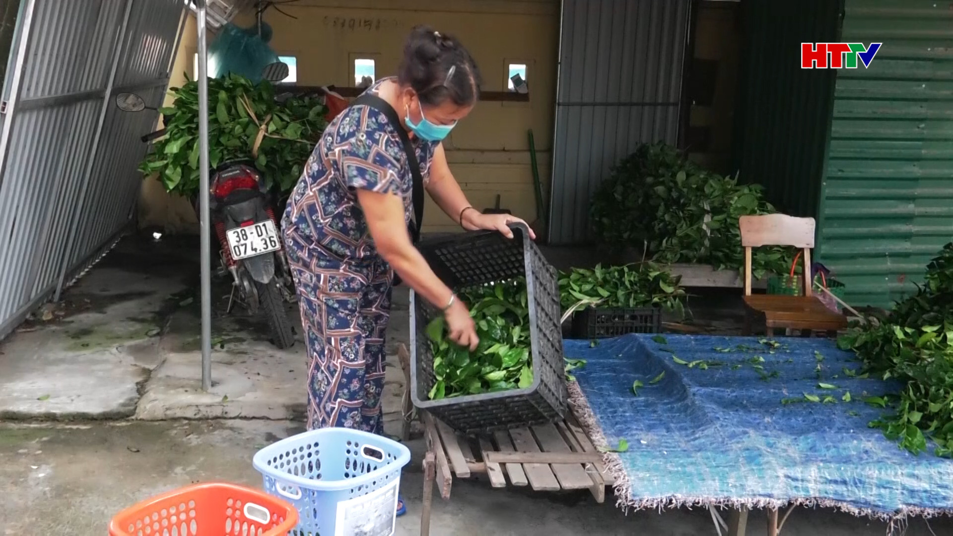 Môi trường xanh tại chợ Hôm.