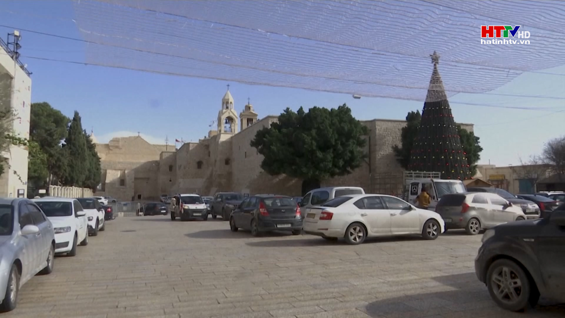 Cây thông khổng lồ tại BETHLEHEM