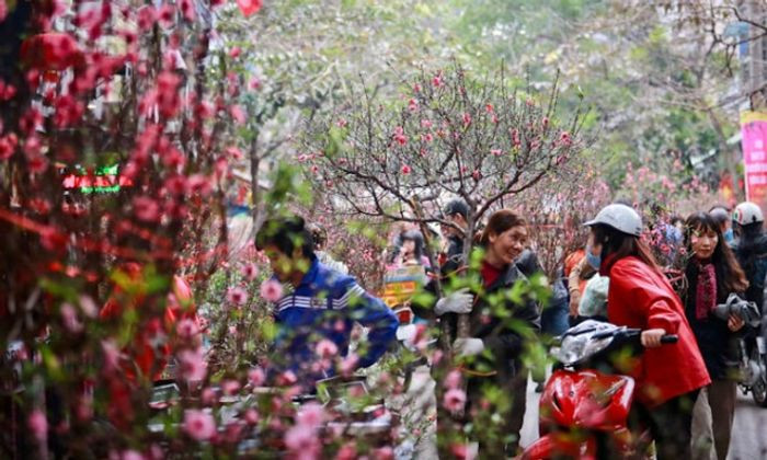 Dự báo thời tiết Tết Nguyên đán 2022: Miền Bắc rét đậm, miền Nam nắng đẹp