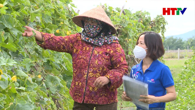 Vì sao nông sản Hà Tĩnh khó vào siêu thị?