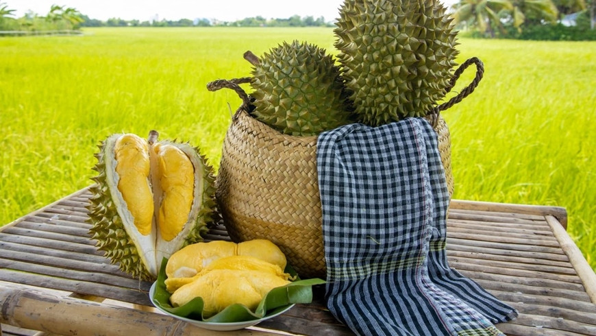 Sầu riêng Việt Nam bán đắt hàng tại Úc